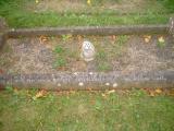 image of grave number 272250